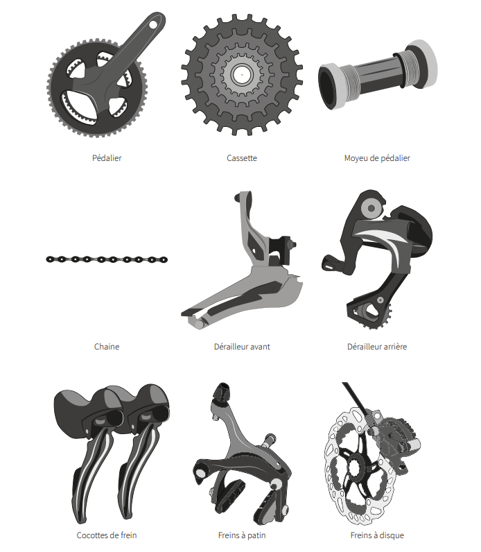 Les différents composants du groupe vélo 